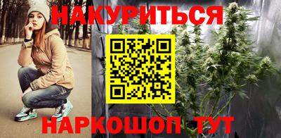 гидра Будённовск