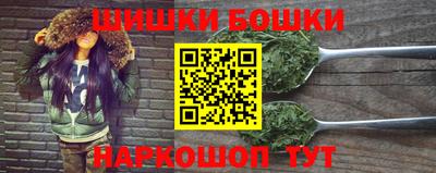 гидра Будённовск