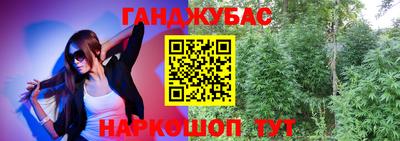 гидра Будённовск