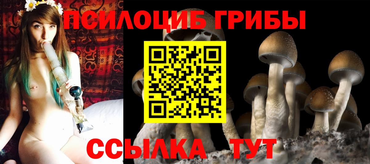 Галлюциногенные грибы Cubensis  купить  сайты  Вход с VPN  Миллерово  Псилоцибиновые грибы MAGIC MUSHROOMS 